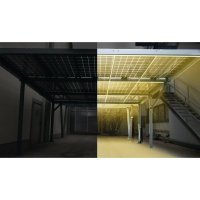 GridParity B60 330 Wp Glas PV Modul bifacial 5% Transparenz (1684 mm x 1002 mm x 5 mm)